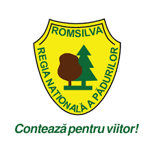Romsilva