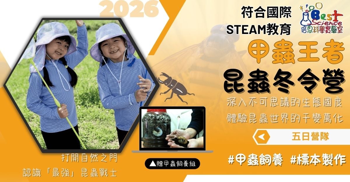 甲蟲王者昆蟲五日營