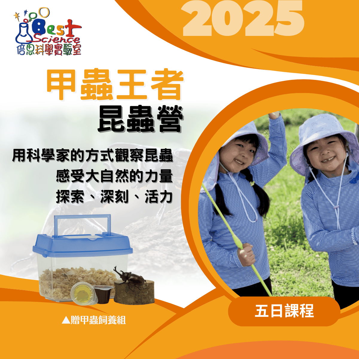 甲蟲王者昆蟲五日營