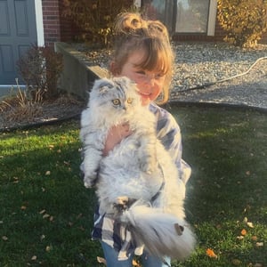 A white cat in a child's arms