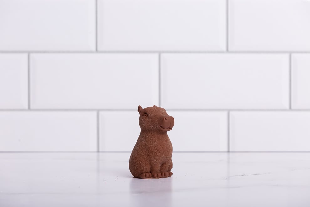 WCB-MilkChocCapybara.jpg