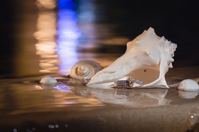 Close-up of wedding rings placed inside a large white seashell surrounded by smaller seashells on a wet surface at Novotel Sunshine Coast Resort.