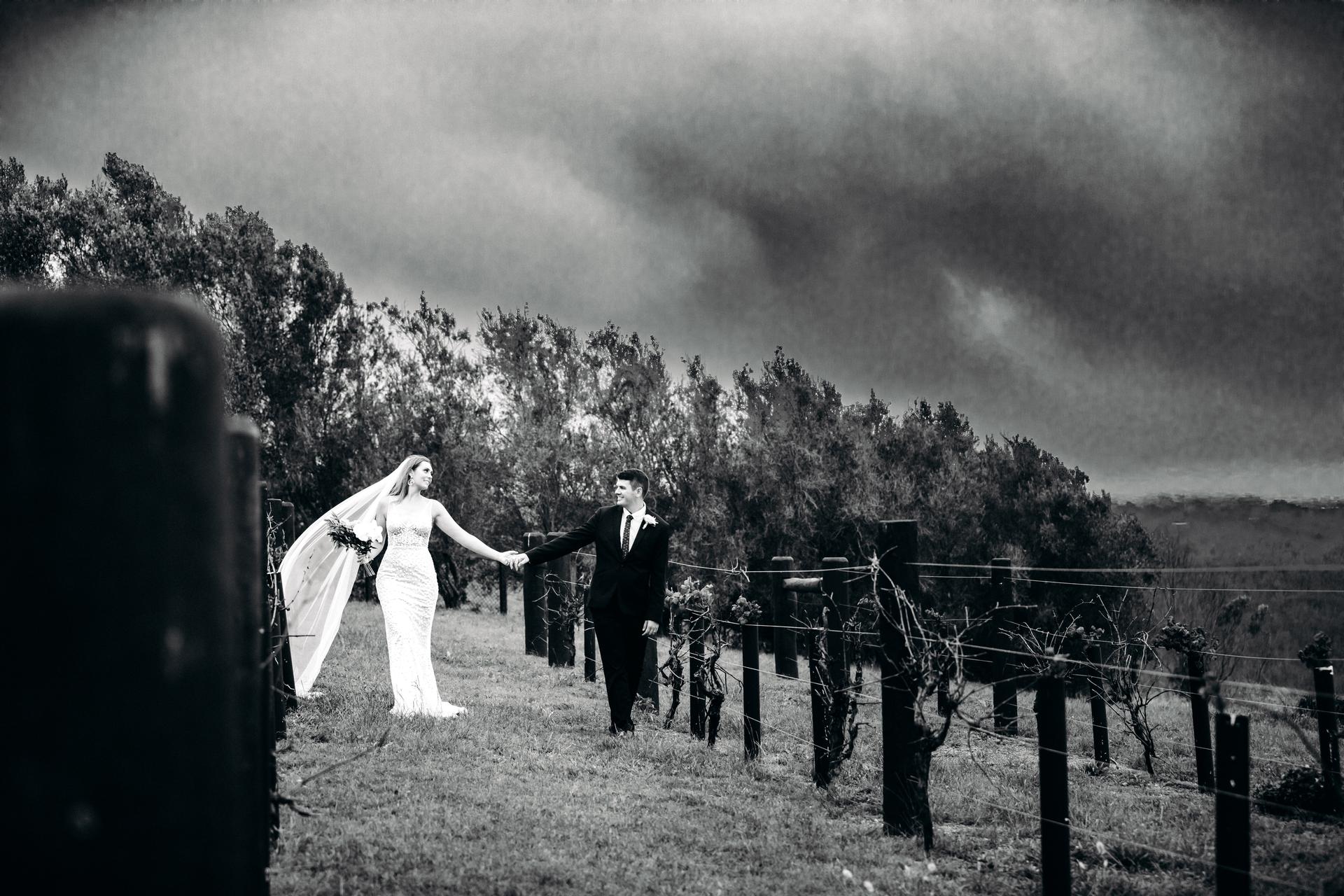 Chelsea and Brent walk hand in hand through a vineyard at Preston Peak Winery Functions Centre, with Chelsea in her wedding dress and veil and Brent in a suit.