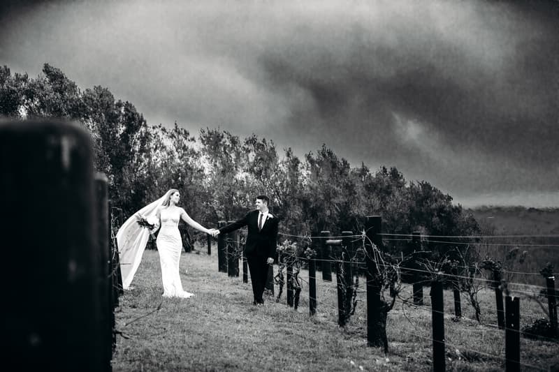 Chelsea and Brent walk hand in hand through a vineyard at Preston Peak Winery Functions Centre, with Chelsea in her wedding dress and veil and Brent in a suit.