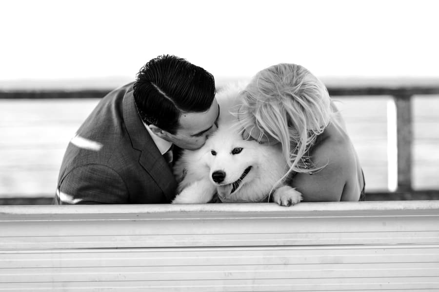 Black and white photo of a couple leaning over a bench to kiss a fluffy white dog at Woody Point Jetty.
