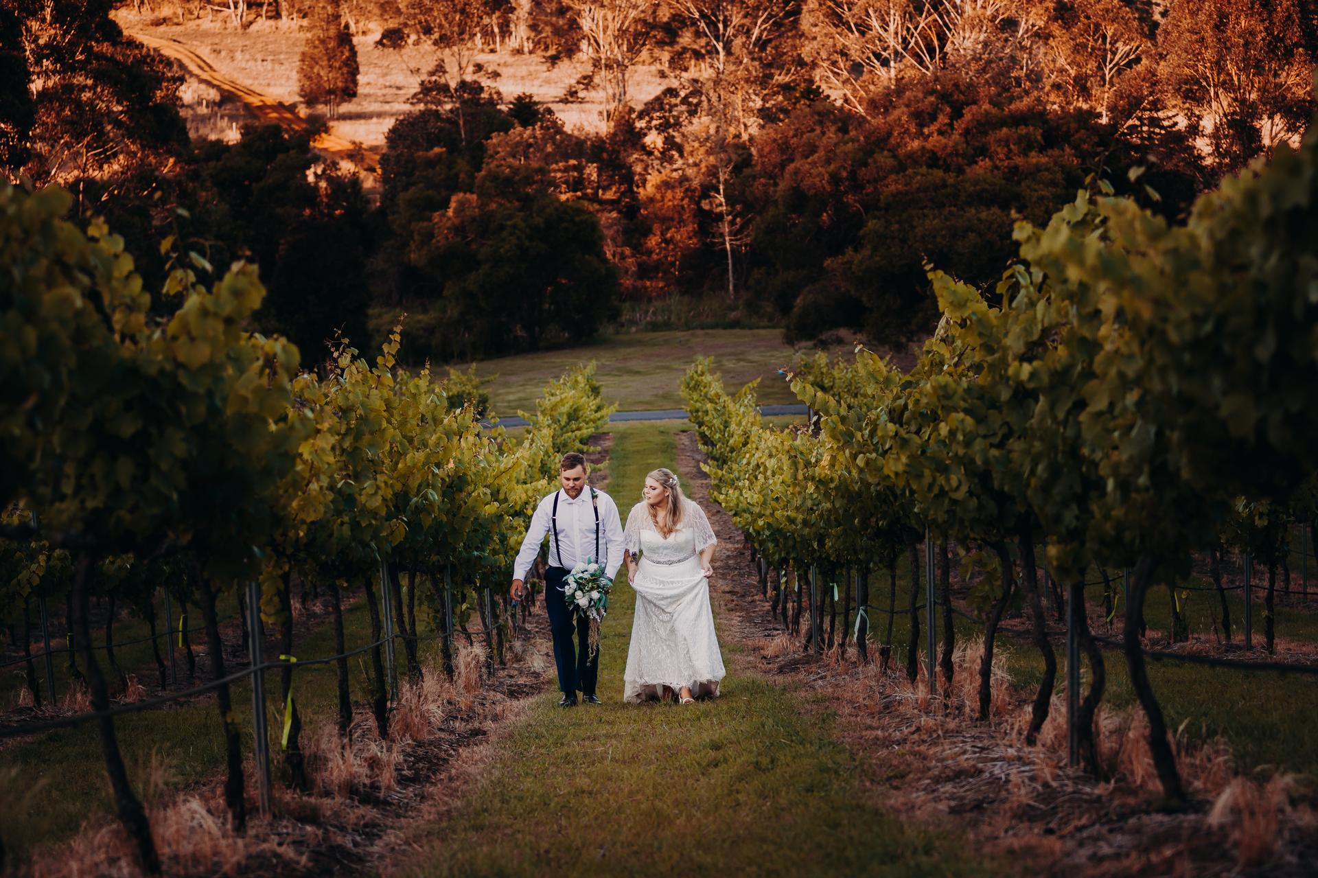 The bride Annie and groom Trent walk together between rows of grapevines at Ocean View Estates during their couple portraits session.