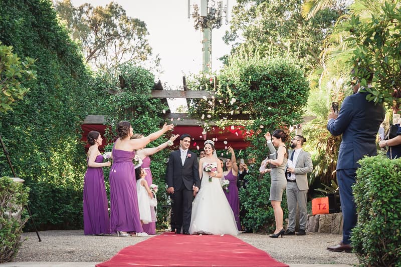 Pasha and Maryam walk down a red carpet aisle at Hillstone St Lucia — The Quartyard after their ceremony while bridesmaids in purple dresses and guests throw flower petals.