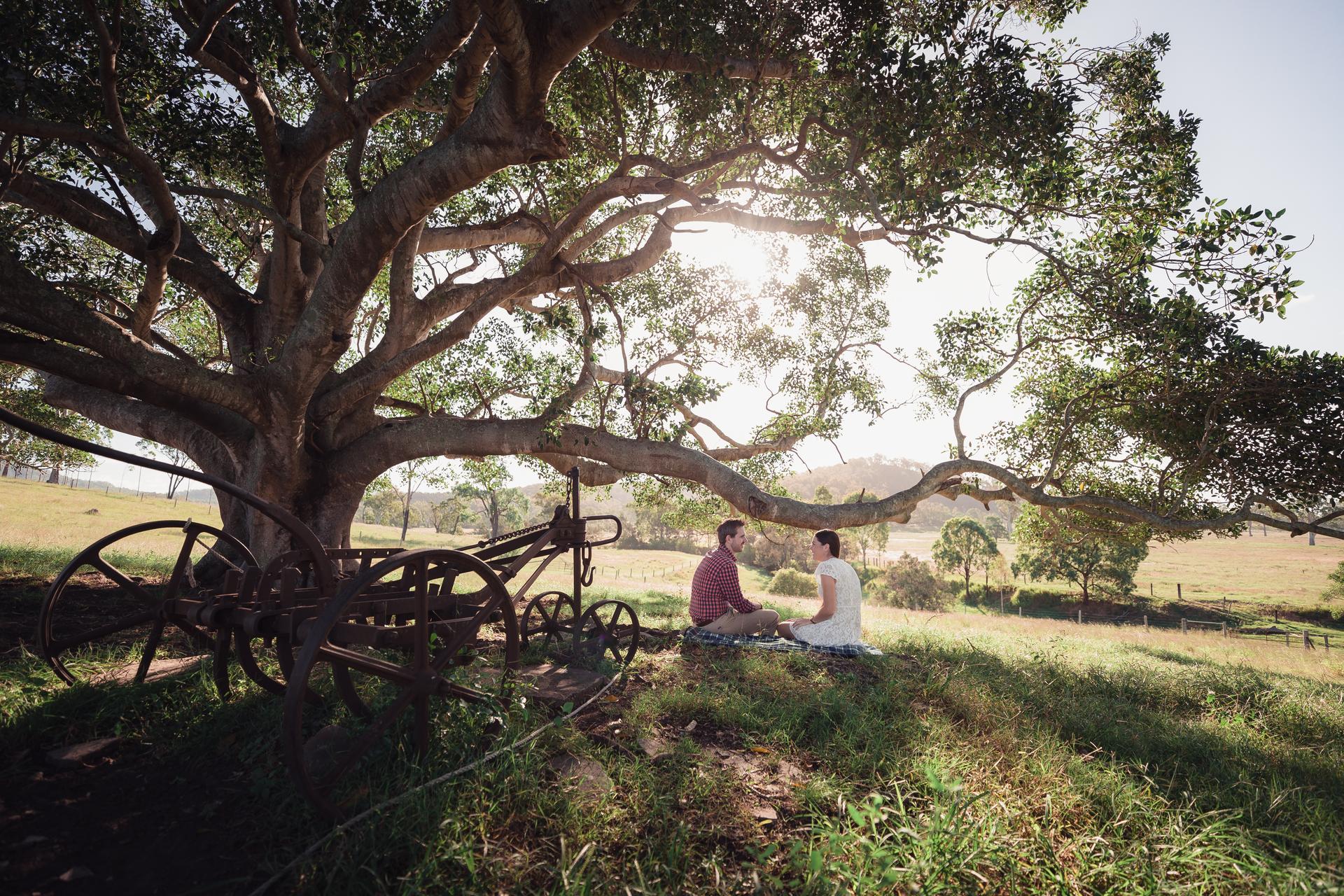 The couple sits under a large tree on a sunny day at a private farm near Ipswich, with vintage farm equipment nearby.