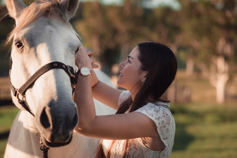 A person gently pets a white horse in a sunlit field, with trees in the background.