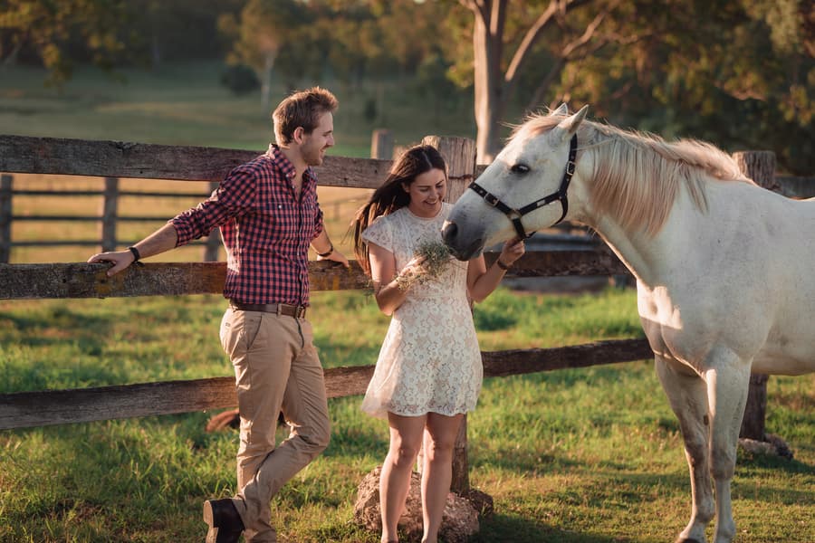 The couple standing by a wooden fence, the woman feeding hay to a white horse on a sunny day.