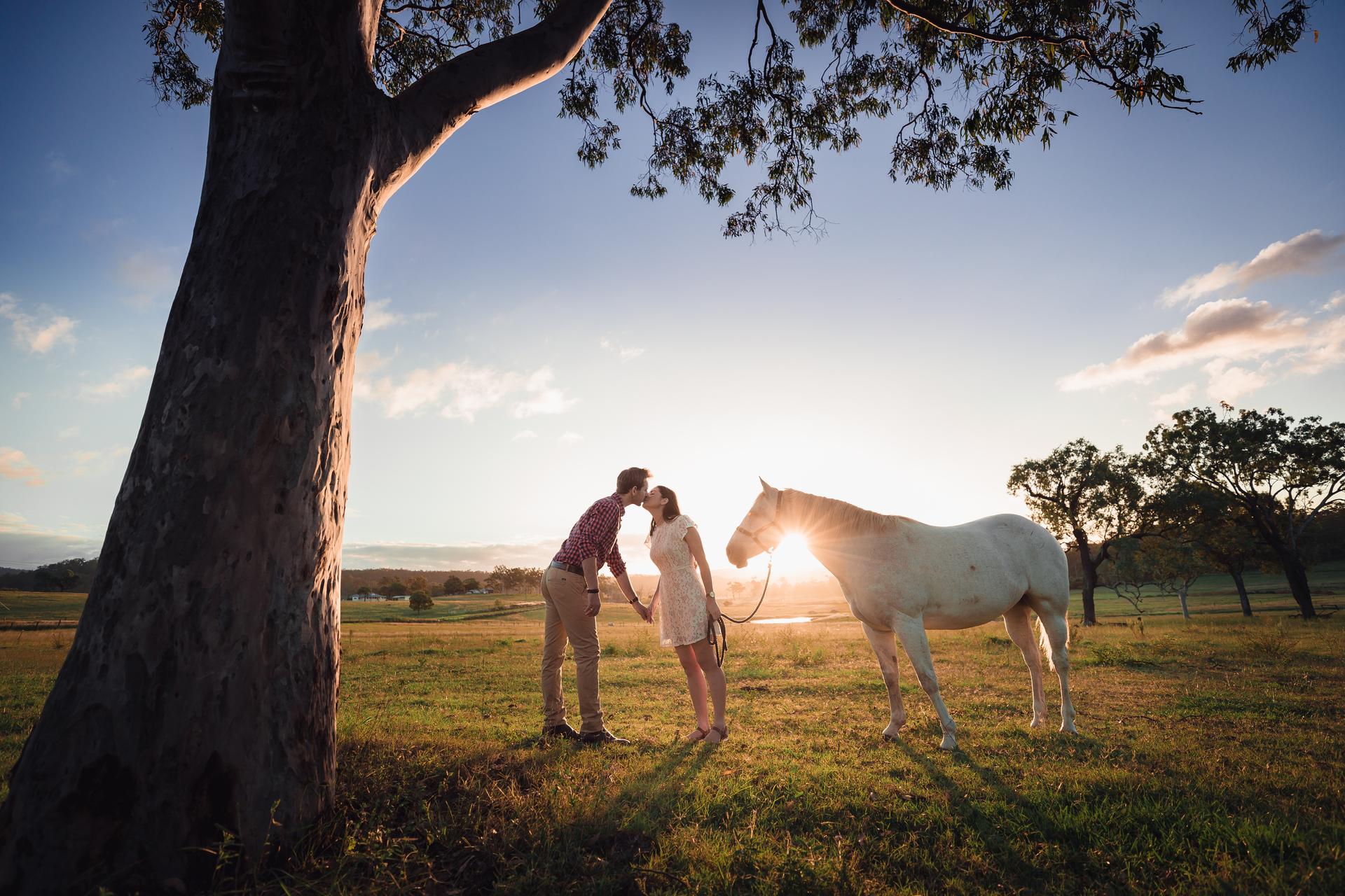 The couple holding hands and kissing under a tree with a horse nearby at sunset.