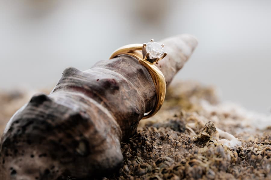 A close-up of an engagement ring resting on a seashell at Shorncliffe beachfront, with a blurred background.