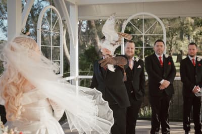 Kierra & Jarrod — image 190