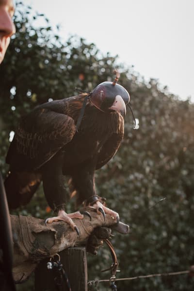 Kierra & Jarrod — image 310