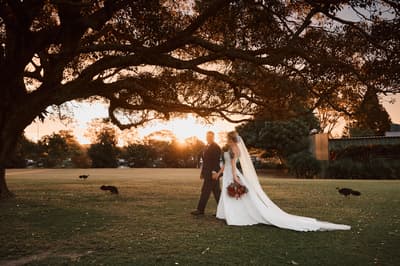 Kristi & Jake — image 517