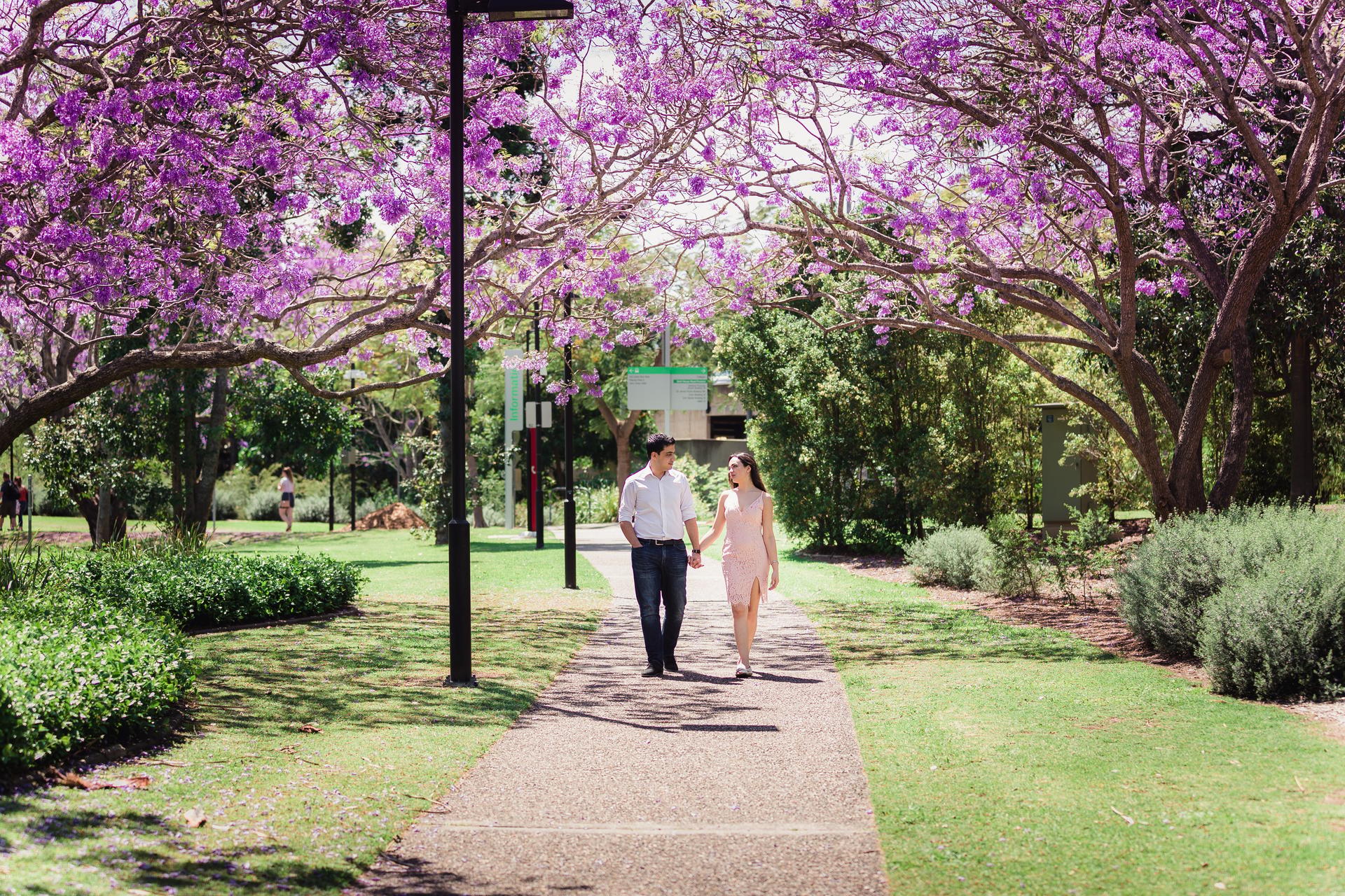 The couple walks hand in hand under blooming purple trees, enjoying a sunny day at UQ Lakes.