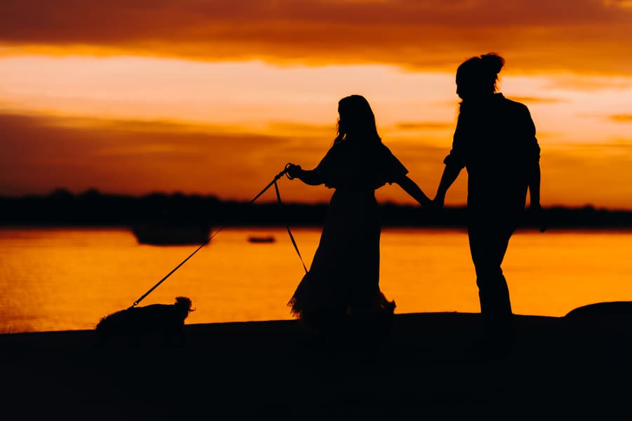 Silhouette of the couple holding hands and walking dogs at sunset on Banksia Beach.