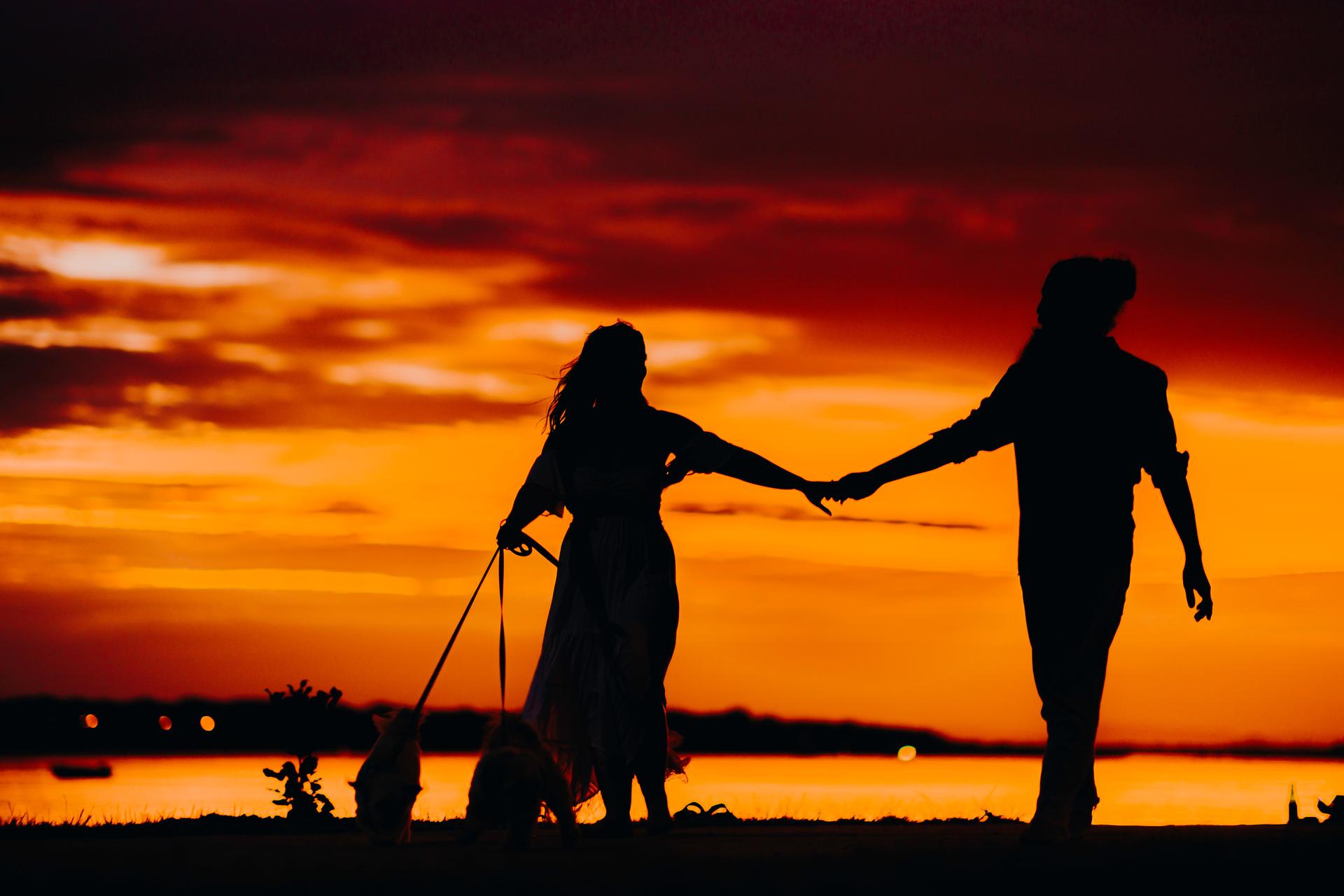 Silhouette of the couple holding hands with their dogs at sunset on Banksia Beach, with a vibrant orange sky.