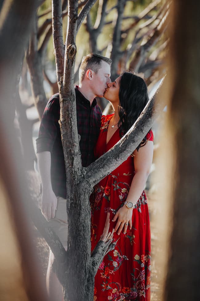 The couple kisses among trees at Redcliffe, framed by branches in soft light.