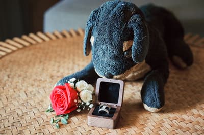 Nikita & David — image 1