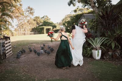 Nikita & David — image 409