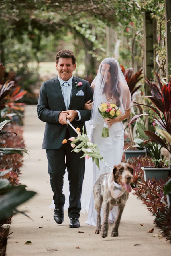 The bride Olivia, holding a bouquet of yellow and pink flowers, is walking arm-in-arm with an older man, likely her father, who is holding the leash of a dog wearing a bow tie, at Eatons Hill Hotel — Lakeside.