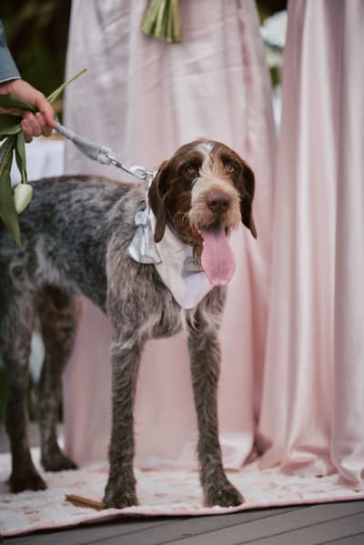 Olivia and Jake — image 82
