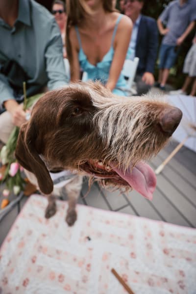 Olivia and Jake — image 115