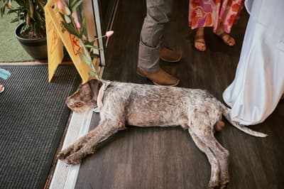 Olivia and Jake — image 275
