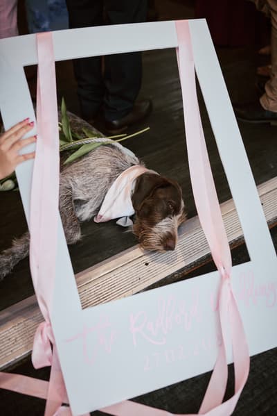 Olivia and Jake — image 315