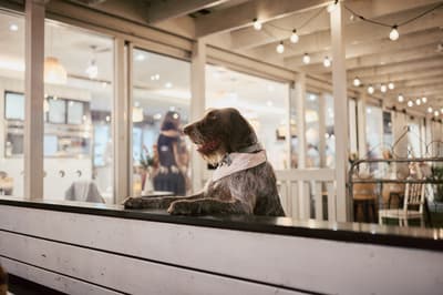 Olivia and Jake — image 562