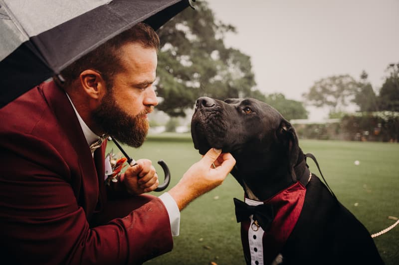 Jayden, the groom, wearing a burgundy suit and holding a black umbrella, kneels and gently touches the chin of a large black dog dressed in a tuxedo-style outfit on a grassy outdoor area.