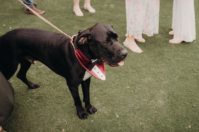 Red & Jayden — image 304