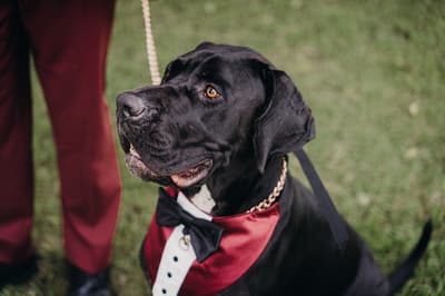 Red & Jayden — image 356