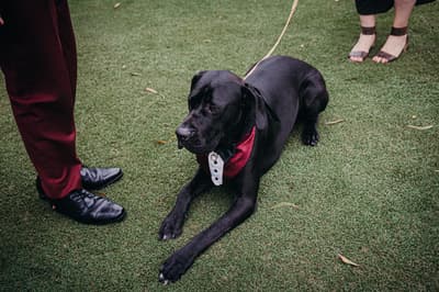 Red & Jayden — image 375