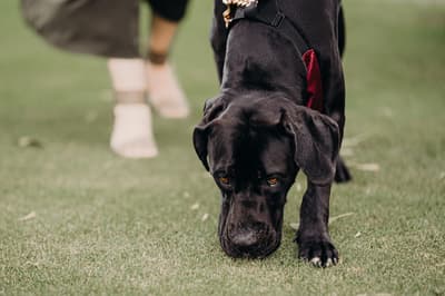 Red & Jayden — image 64