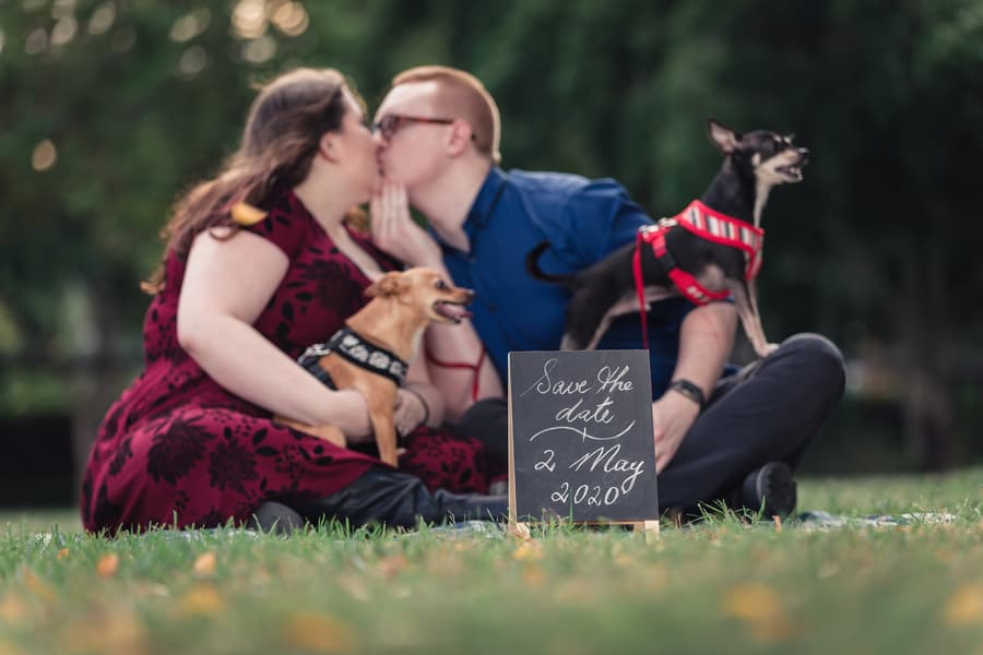 The couple sits on grass at Brisbane Powerhouse, holding two small dogs, with a 'Save the Date' sign in front.