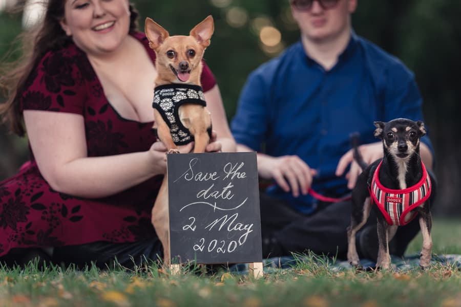 The couple sits on grass at Brisbane Powerhouse, smiling with two small dogs and a 'Save the Date' sign.