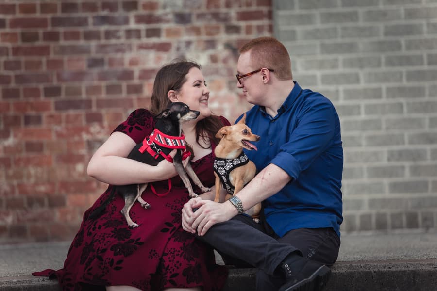 The couple sits on steps at Brisbane Powerhouse, holding two small dogs and looking at each other lovingly.