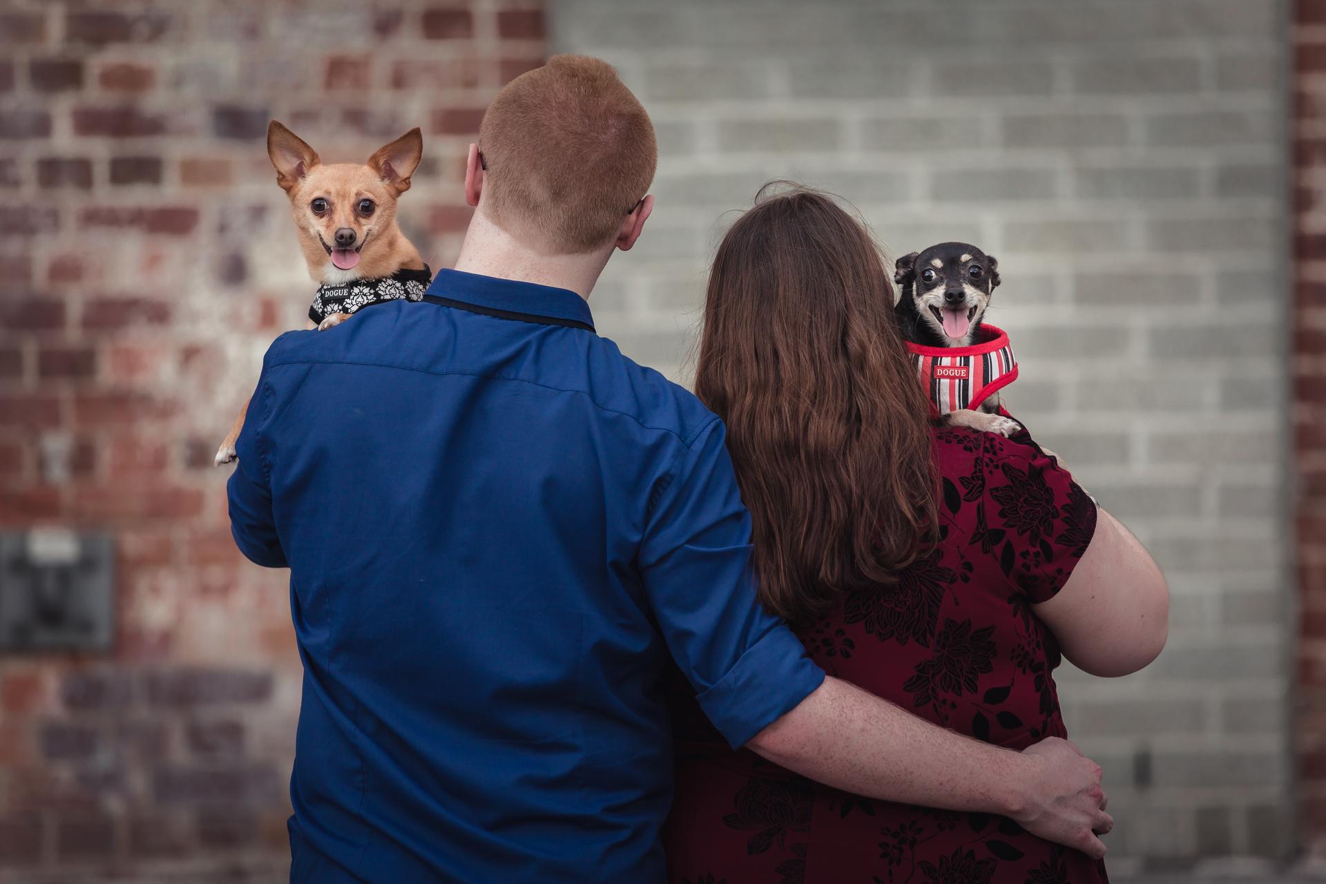 The couple stands with their backs to the camera, each holding a small dog, against a brick wall.
