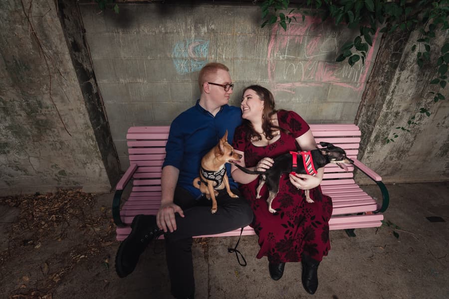 The couple sits on a pink bench at Brisbane Powerhouse, holding two small dogs and looking at each other.