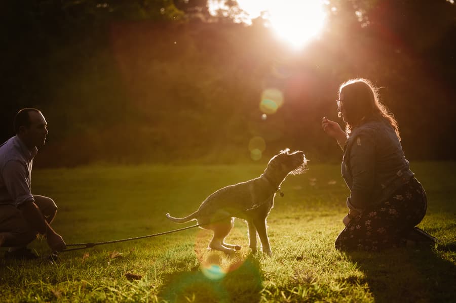 The couple interacts with their dog in a sun-drenched park, creating a playful scene.