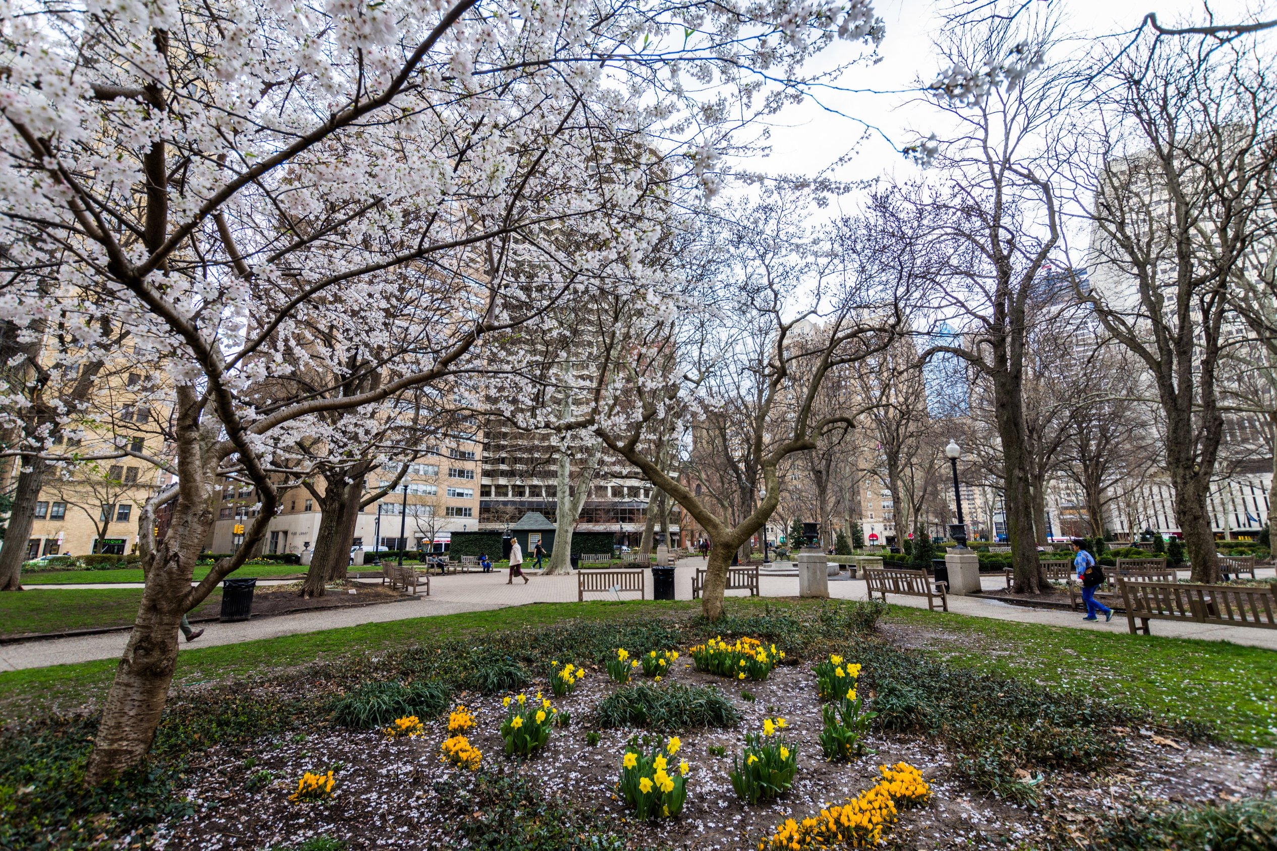 Rittenhouse Square | What to Do, Eat, and See | Philadelphia