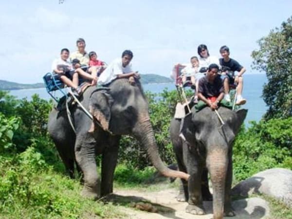 Camp Chang Kalim&nbsp;Elephant Phuket photo 2