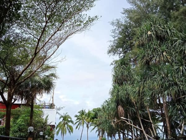 Kamala Grace Resort photo 3