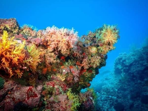 Go Dive Lanta photo 3