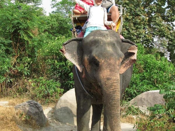 Camp Chang Kalim&nbsp;Elephant Phuket photo 4