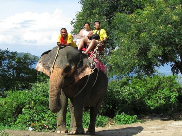 Camp Chang Kalim&nbsp;Elephant Phuket photo 3