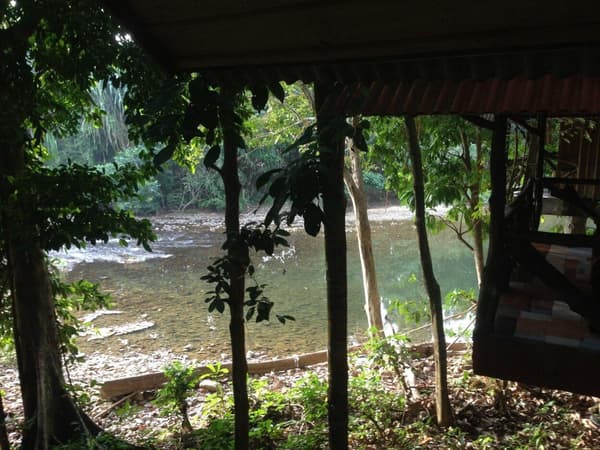 Bamboo House Khao Sok photo 4