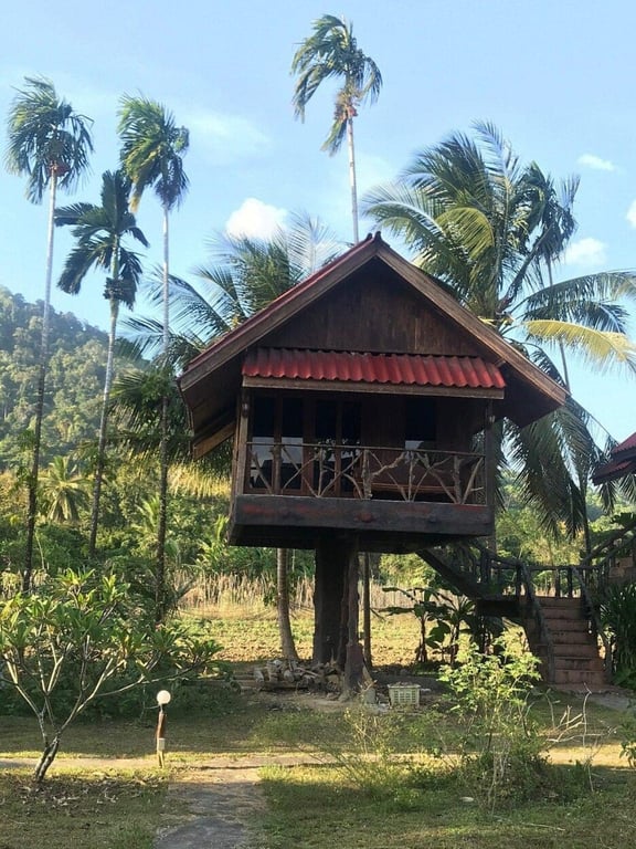 Bamboo House Khao Sok